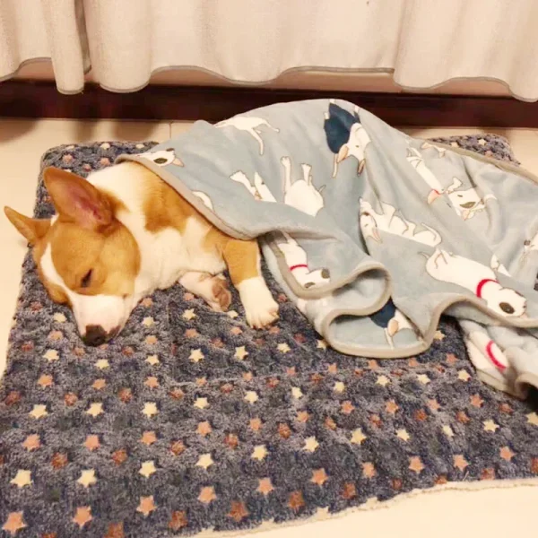 Sleeping Cushion, Mat for Pet Dog