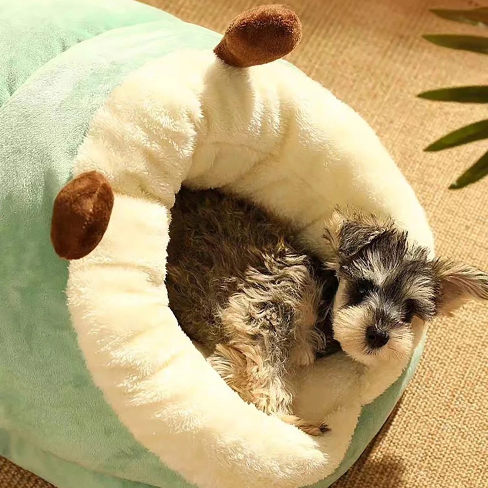 Foldable Bed for Small Dog & Cat