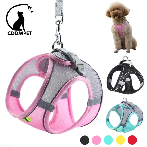 Harness Leash Set for Small Dogs