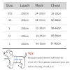 Harness Leash Set for Small Dogs